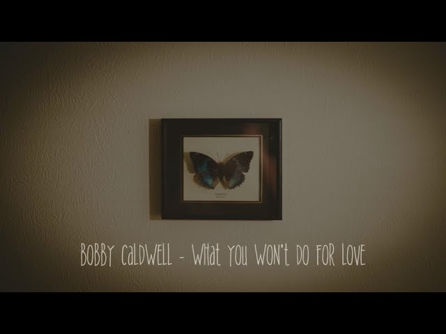 Bobby Caldwell - What You Won't Do For Love가사/해석(고화질,이어폰) class=