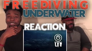Experience The Underwater World Through The Eyes Of A Free Diver Reaction