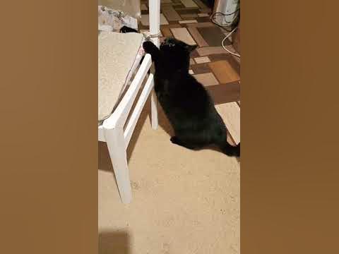 дурилка картонная🤣 - YouTube