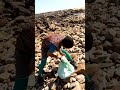 زرق الفيروس ديما نادي كنادي كولشي ديا الله