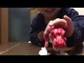 《人気の恐竜》ジュラシックパークToy of the dinosaur この赤い恐竜のおもちゃ面白い!