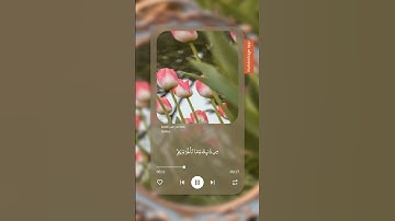 سورة الفتح 💛😴 #تلاوة_خاشعة #تلاوة_خاشعة #ارح_قلبك #قران_كريم #العفاسي_قرآن #2ksubscribers #اكسبلور