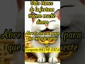 🐱  Gato blanco de la suerte 💰  lucky cat atrae suerte dinero y exito