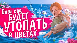 ТОП САМЫХ РАННИХ ЦВЕТОВ ДЛЯ САДА в 2022 ГОДУ. ДОЛГО и ОБИЛЬНО ЦВЕТУТ