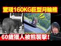 日本熊患注意🚨 驚現160KG巨型月輪熊、專家都眼突！熊游水過對面岸被捕獲、60歲獵人被熊襲！熊連環襲擊事件 | 日本新聞報導 | CC中文字幕 #熊出沒 #柴犬 #廣東話 #新聞 #突發