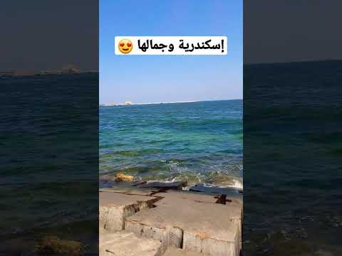 شط اسكندرية يا شط الهوي