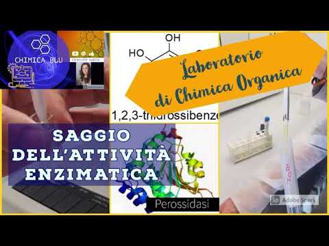 Video: Che cos'è il test enzimatico?