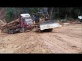 Extreme Trucks - Best Logging Truck Drivers Skill With Dangerous Extreme Fields