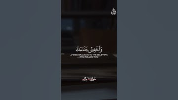 وأنذر عشيرتك الأقربين تلاوة من سورة الشعراء #اكسبلور #المصحف #قرآن #سورة_الشعراء