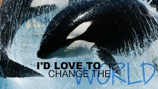 I'd Love To Change The World - Marineland Orcas by Galinette1208 1,706 views 7 years ago 1 minute, 4 seconds