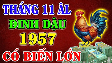 Tử Vi Tháng 11 Âm Lịch, Tuổi Đinh Dậu 1957, Mẹ Quan Âm Độ Mạng, May Mắn Liên Tiếp, Trúng Đậm Đổi Đời