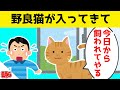 勝手に網戸を開けて入って来た野良猫が、こっちを見て鳴いた本当の意味が可愛すぎるwww