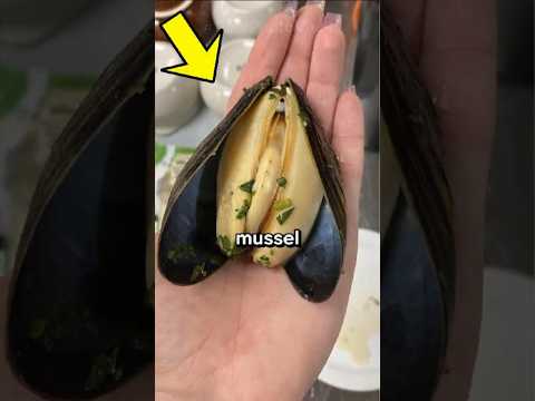 صور نادرة مذهلة ستذهلك بمصادفتها المثالية 687