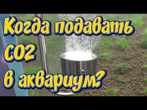 Видео: Каква реакция произвежда СО2?