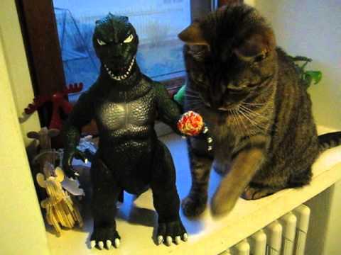 cat แปลว่า Cat, Godzilla and a ball