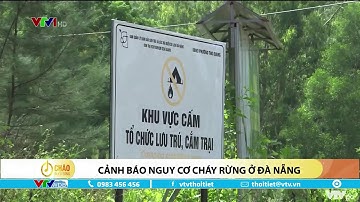 Cảnh báo nguy cơ cháy rừng ở Đà Nẵng | VTVWDB