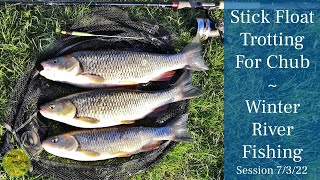 Trotting For Chub On The Stick Float - Winter Small River Fishing - 7/3/22 (Video 308)