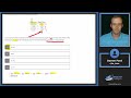 Mock Exam #2 – Questions 71-80 | FRM Part I Exam Preparation | AnalystPrep