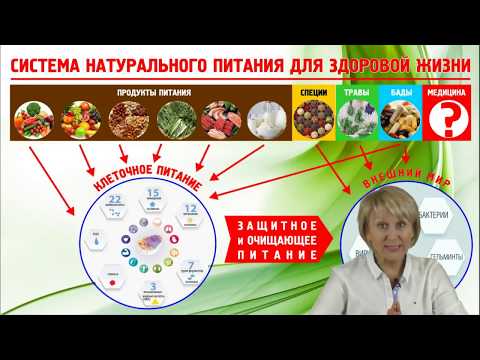 Бутакова О.А. Программа
