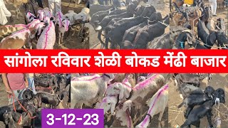 सांगोला शेळी बोकड मेंढी बाजार / Sangola Goat Sheep Market / चालू बाजारभाव 2023