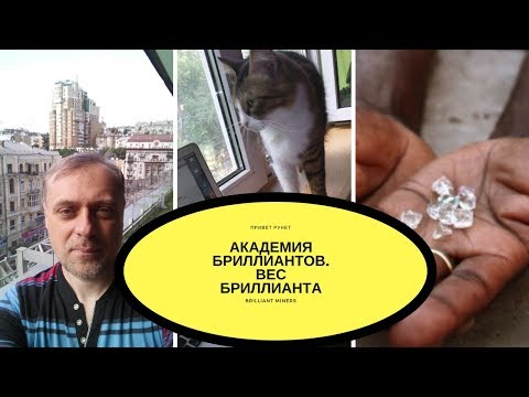 Привет Рунет. Академия