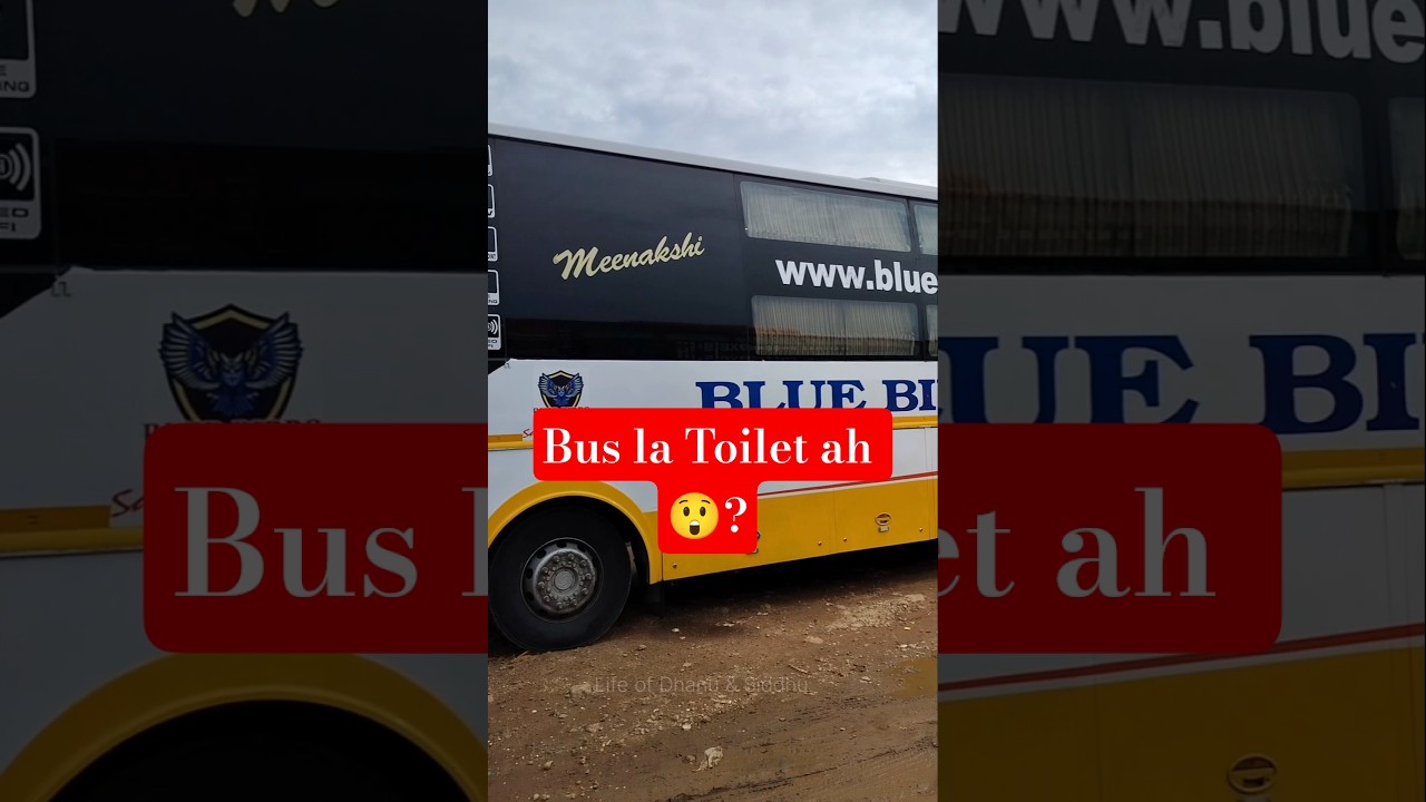 Bus-la Toilet Ah? 🤯 Madurai to Chennai Blue birds Travels Full Review 🚍🚽 #Shorts - மதுரை