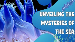 An In-depth Exploration of Sea Anemones and Their Symbiotic Relationships