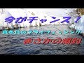 2017.12.16　道東十勝の釣り　ニンフでまさかの爆釣編　（対象魚：ニジマス）真冬のフライフィッシング