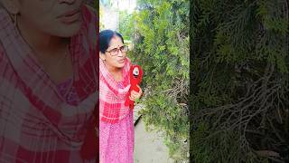 Funniest House Search Ever 🤭 Jibu Jibu!