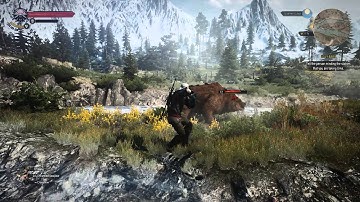 The Witcher 3 1440p60fps test with E3 Real Graphical Suite mod