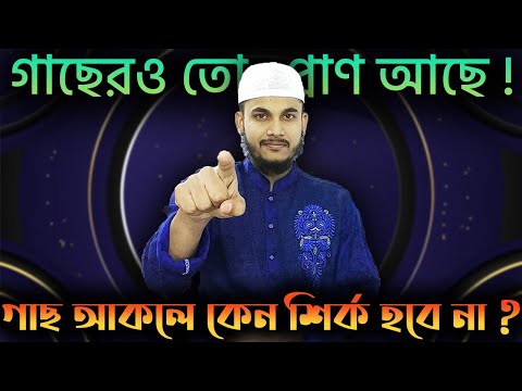 ভিডিও: সিনারি মূর্তি কি করে?