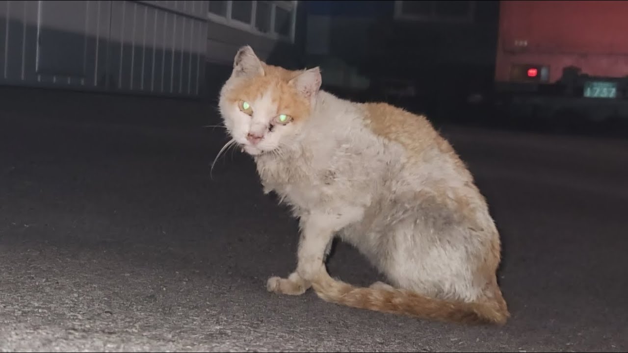 2월 마지막날  악몽아 끝나라