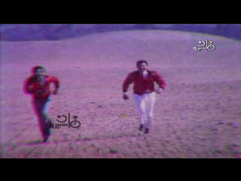 حسين ومودى الامام وماله يا سيدى وماله