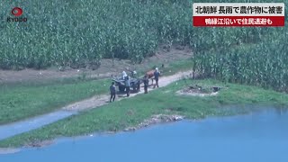 【速報】北朝鮮、長雨で農作物に被害　鴨緑江沿いで住民退避も