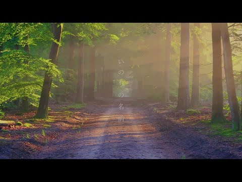 いのちの名前 / 久石讓 (cover)