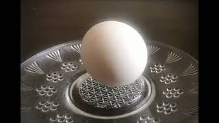 Яйцо крутится