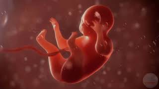 🎵🎵🎵 Pregnancy music for unborn baby ♥ Brain development ♥ Deep water sound - Nature 🎵🎵🎵