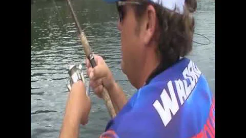 Jack Waldrop Jr. - Lake Austin, TX Large Female Ba...