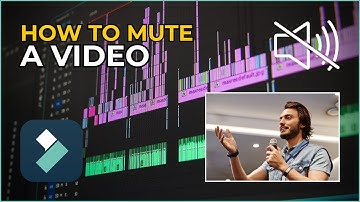 How to Mute a Video in Filmora