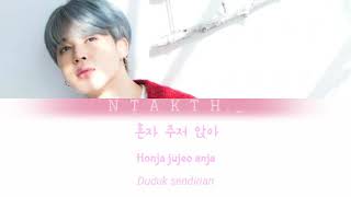 PROMISE - JIMIN BTS [INDO SUB]