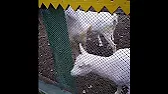 МОЙ МИР