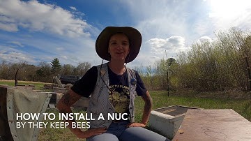 How to Install a Nucleus Hive
