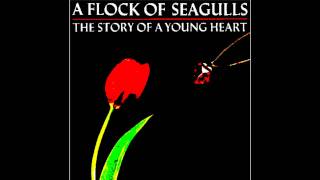 Video thumbnail of "A FLOCK OF SEAGULLS - SUICIDE DAY"