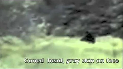 Bigfoot #4 Huge Sasquatch on PEI by Nathan Wiley 2005 [HD].mp4 - YouTube.flv