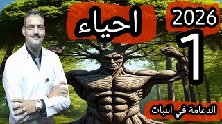 1 - احياء تالتة ثانوي دفعة (2026) :- الدعامة في النبات (شرح + حل اسئلة الثانوية العامة) screenshot 4