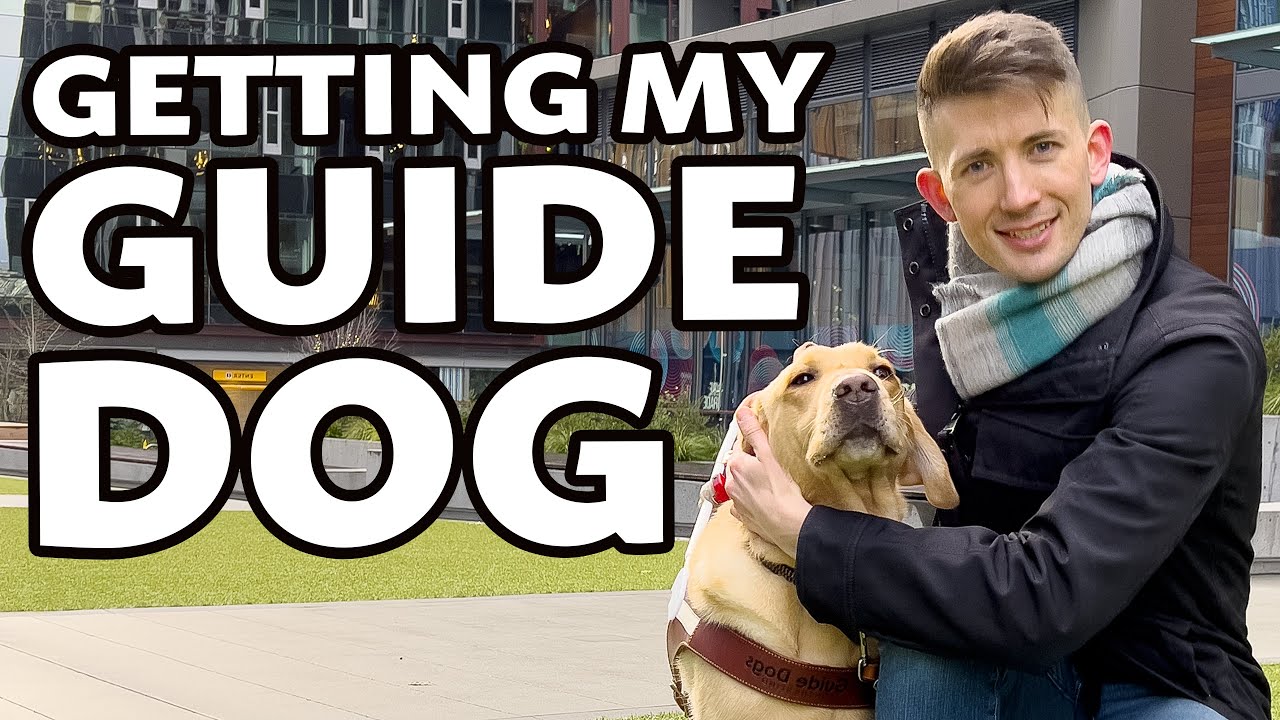 How I met my guide dog (life-changing moment!) - YouTube