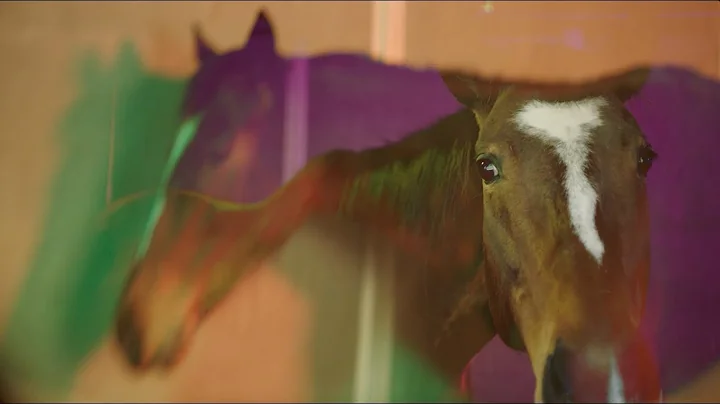 Avey Tare - HORS_ (Official Video)