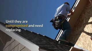 Round Lake Beach IL Roof Cleaning screenshot 1