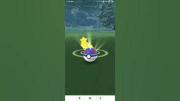 100% IV GALARIAN ZIGZAGOON CAUGHT IN POKÉMON GO | #shorts
