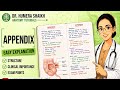 Appendix anatomy made easy | complete revision in 14 minutes| mbbs | bhms | bsc nursing|